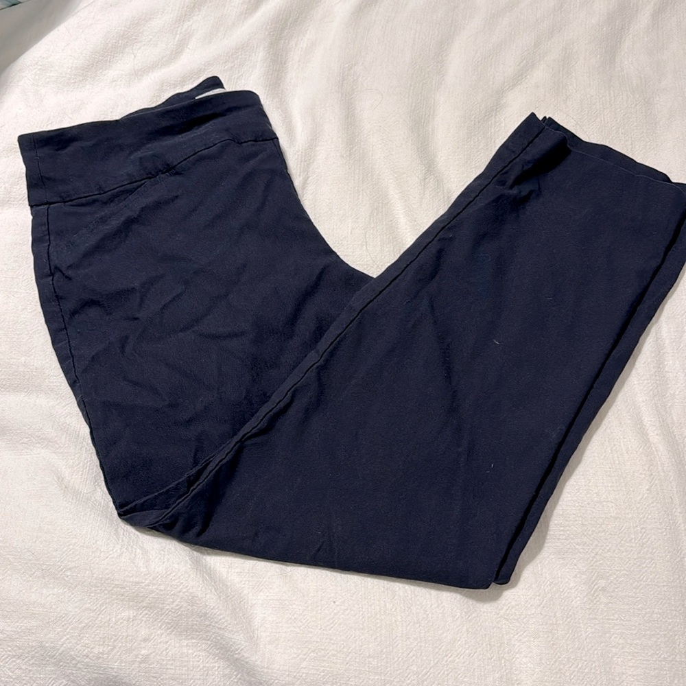 Charter Club Cambridge Slim pull on navy blue pants. Size 14P